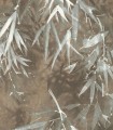 Papel pintado Lymphae 18606