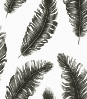 colección de papel pintado zambaiti parati plumas en negro fondo blanco