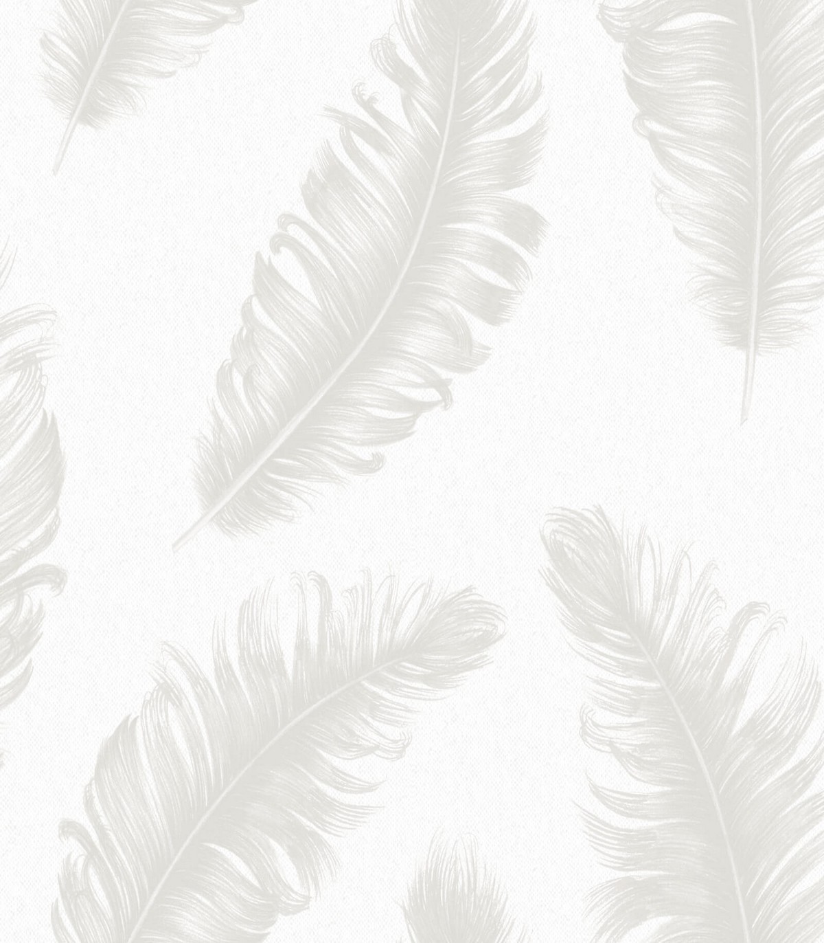 colección de papel pintado zambaiti parati plumas en plata fondo blanco
