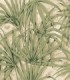 colección de papel pintado zambaiti parati hojas palmera verde y beige