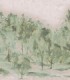 colección de papel pintado zambaiti parati mural arboles acuarela verde y gris claro