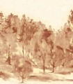 mural savana z77563