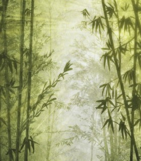 colección de papel pintado zambaiti parati mural bambu verde