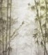 colección de papel pintado zambaiti parati mural bambu verde grisaceo y gris claro