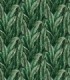 colección de papel pintado zambaiti parati mural hojas amazonas verde