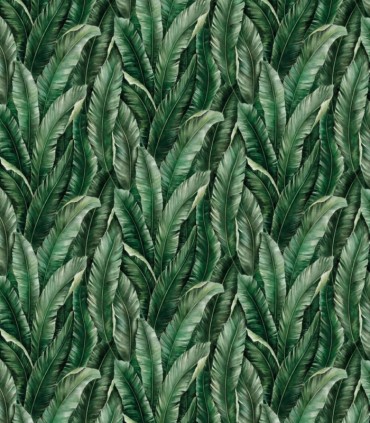 colección de papel pintado zambaiti parati mural hojas amazonas verde