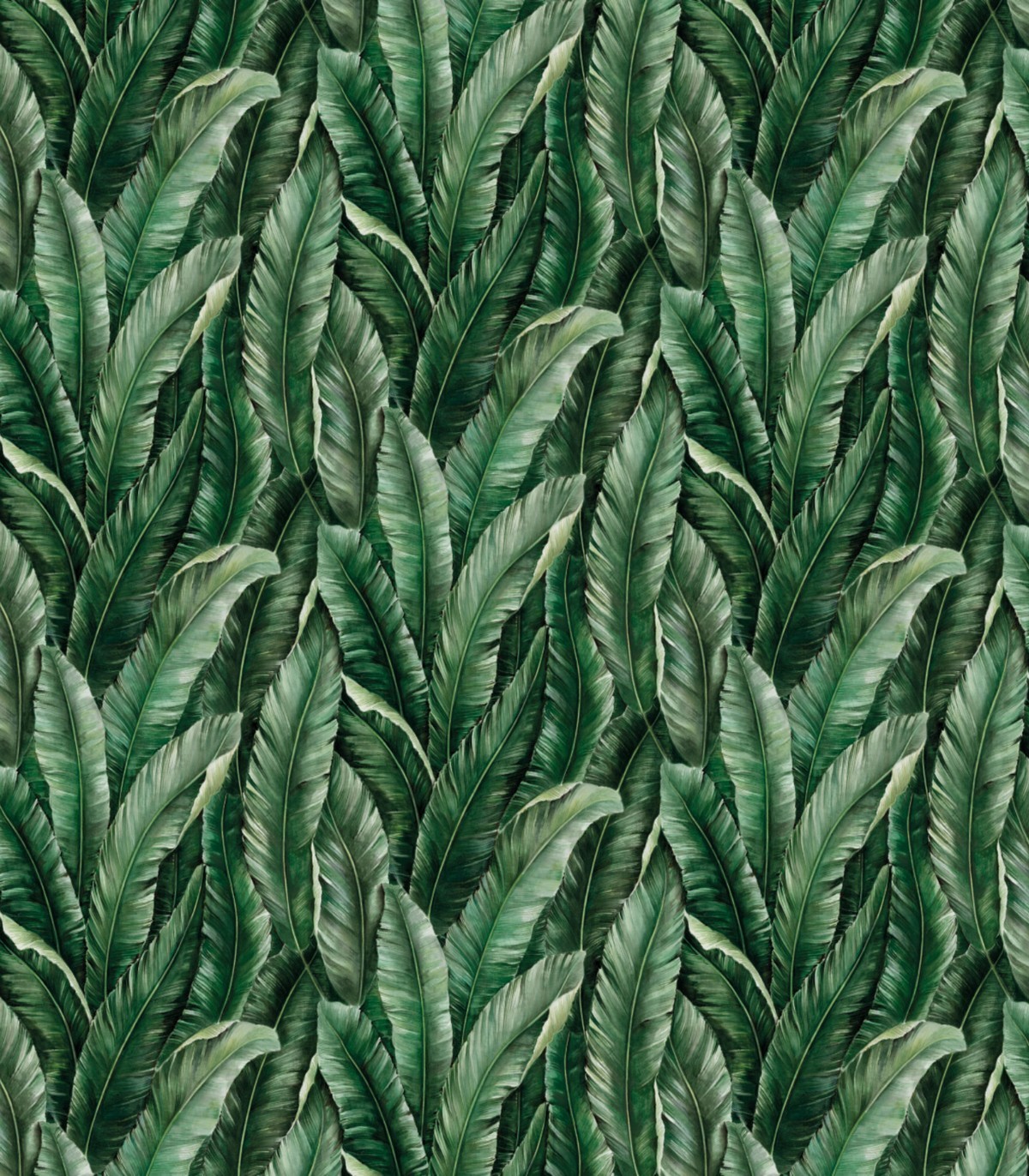 colección de papel pintado zambaiti parati mural hojas amazonas verde