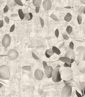 colección de papel pintado zambaiti parati mural hojas eucalipto gris
