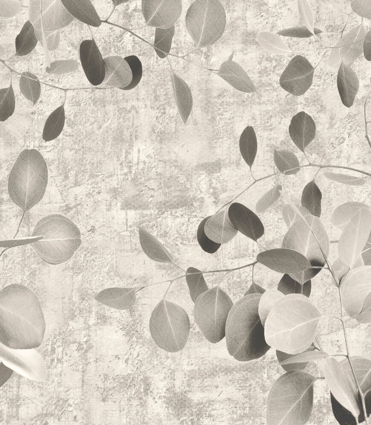 colección de papel pintado zambaiti parati mural hojas eucalipto gris