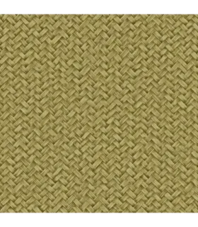 Zambaiti Parati papel pintado mimbre verde seco resistente